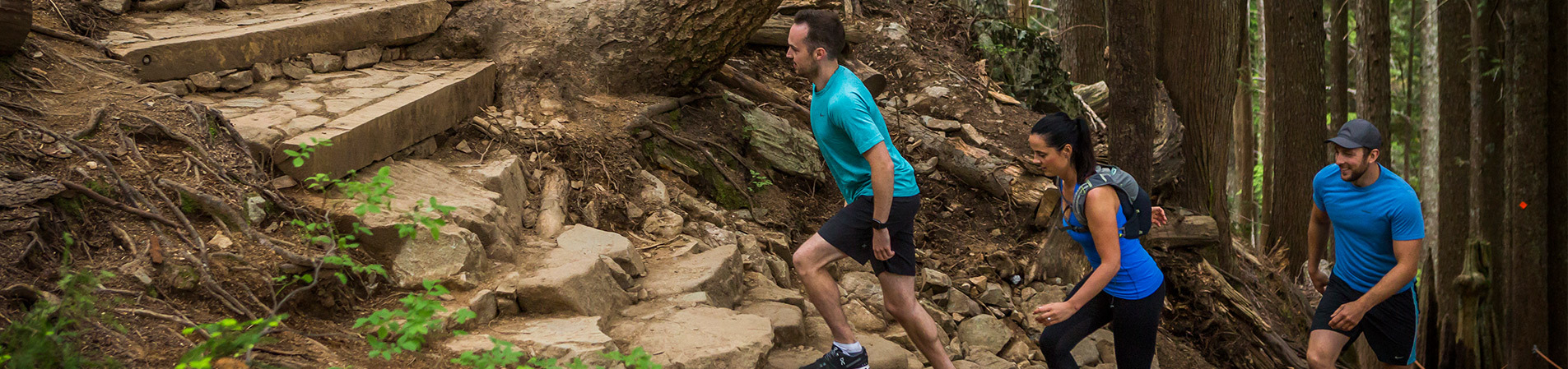 Four seasons of mountaintop fun