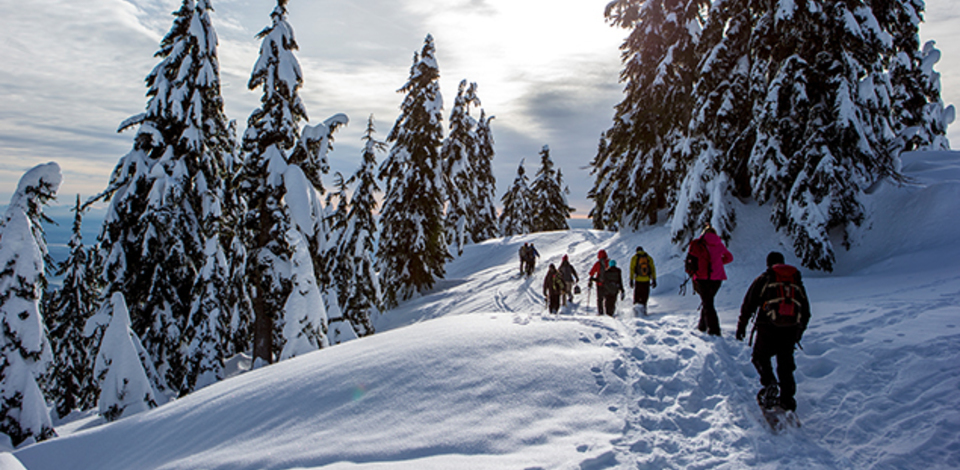 Adult Lessons - Ladies Ski Clinic  Grouse Mountain - The Peak of Vancouver