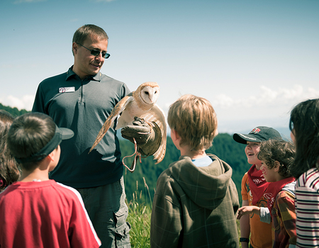 Field trip programs made fun at Grouse Mountain.
