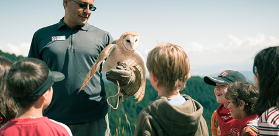 Field trip programs made fun at Grouse Mountain.