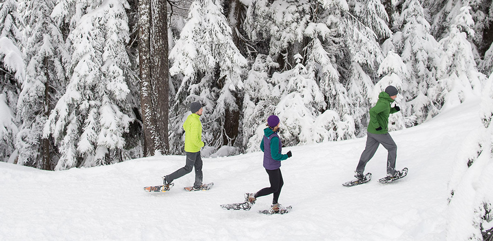 snowshoe group