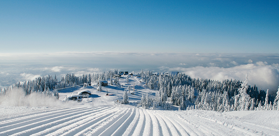 winter on grouse mountain