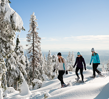 Snowshoe Clinics