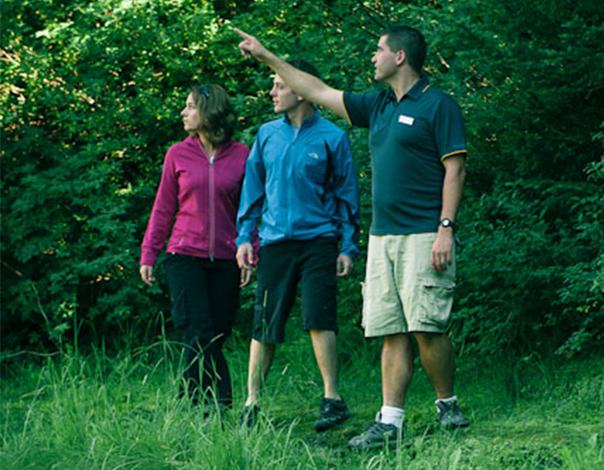 Learn more about the flora and fauna of Grouse Mountain