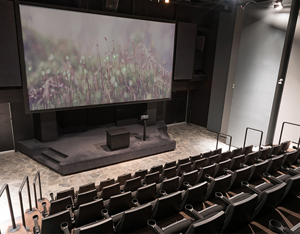 watch nature-themed shows this summer for our Into the Wild theme