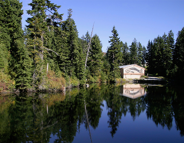 Join us this summer for an Into the Wild themed scavenger hunt.