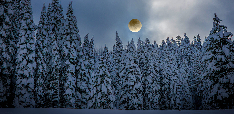 Full Moon Snowshoe Tours