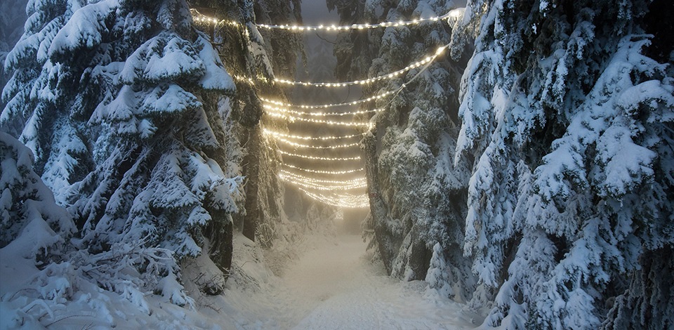 light walk string lights