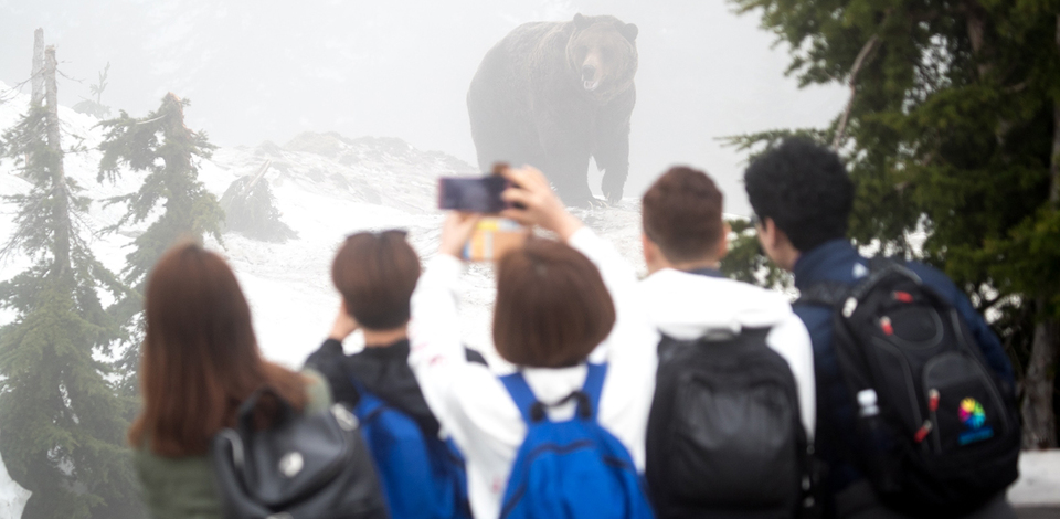 Guests watch Coola from the viewing platform