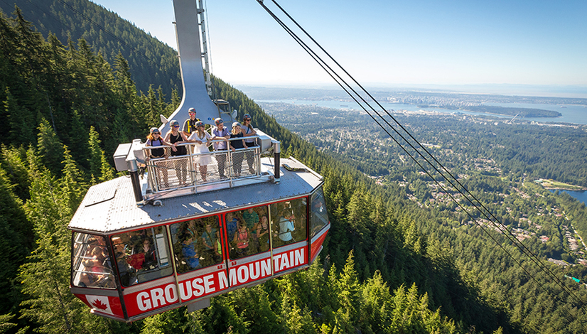 Hope on the rooftop of the Skyride and soar!
