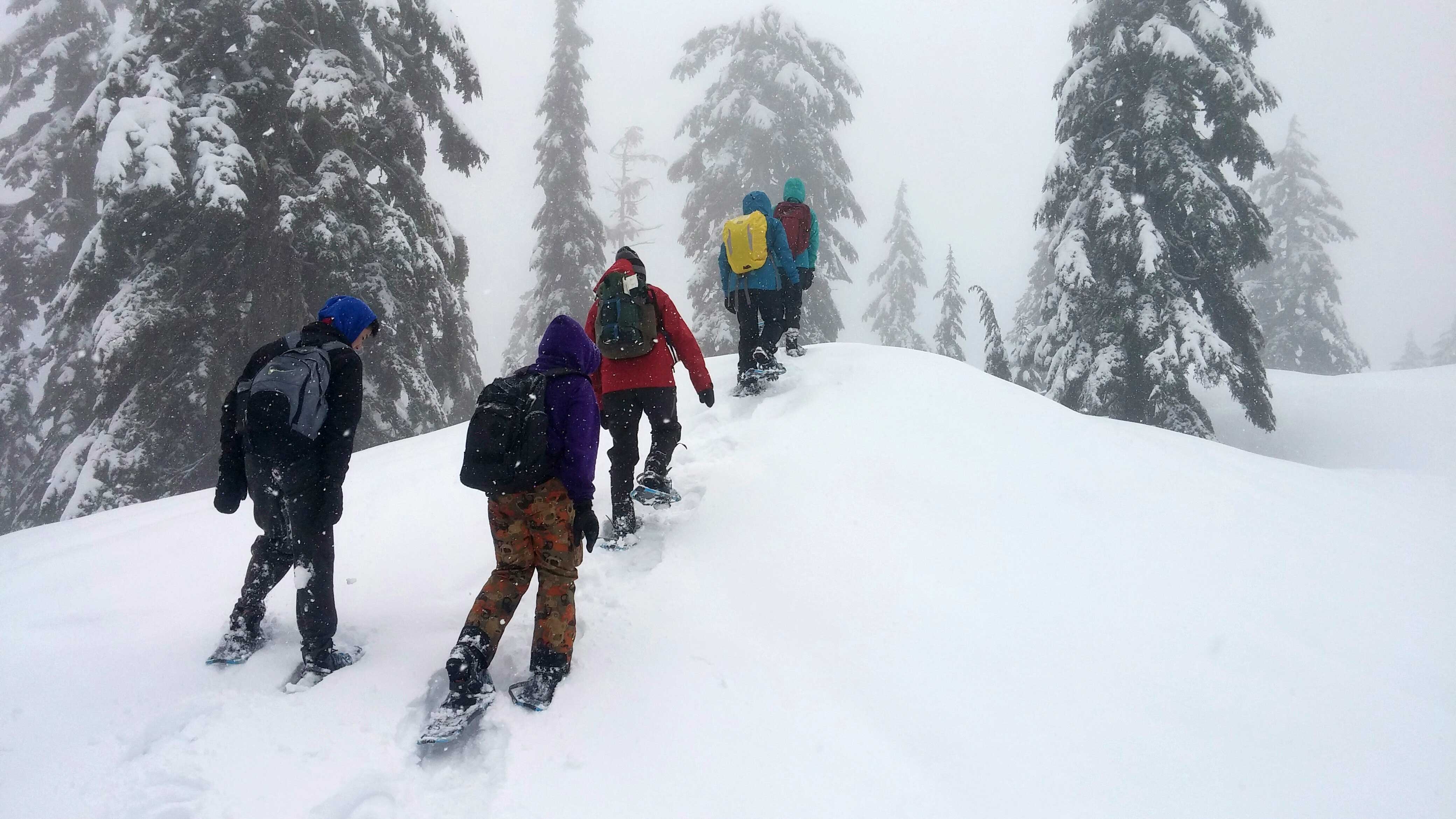 Guided Snowshoe Field Trips Grouse Mountain The Peak of Vancouver