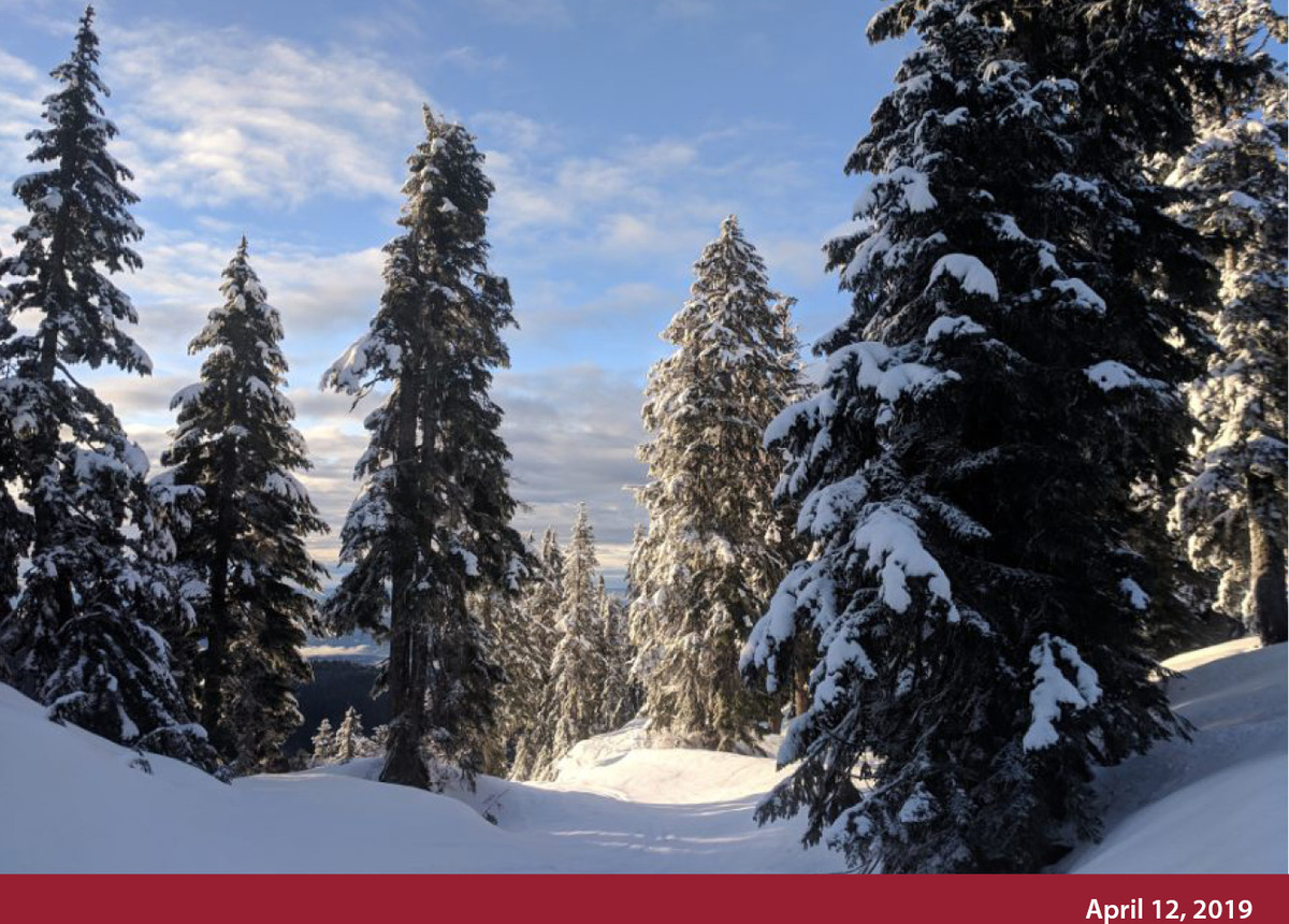 Current Conditions Grouse Mountain The Peak of Vancouver