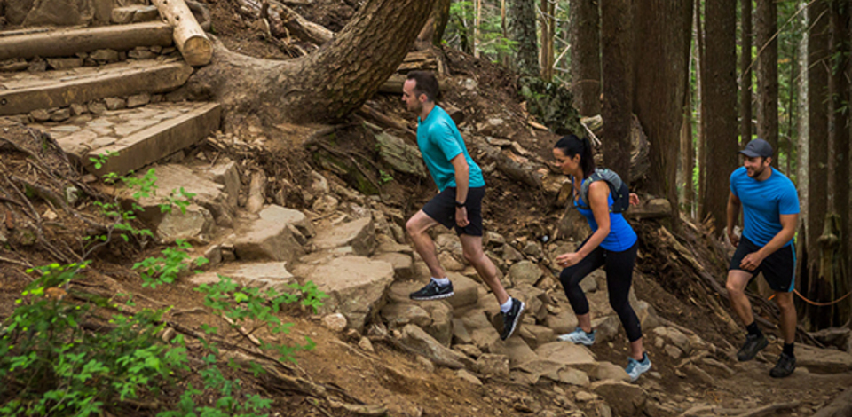 Four seasons of mountaintop fun