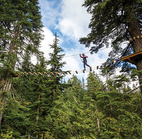 aerial ropes course