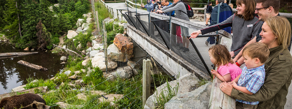 Join us for Father's Day on Grouse Mountain