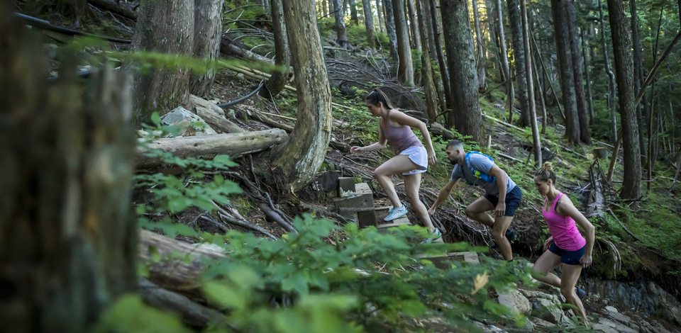 spirit bear tours vancouver island