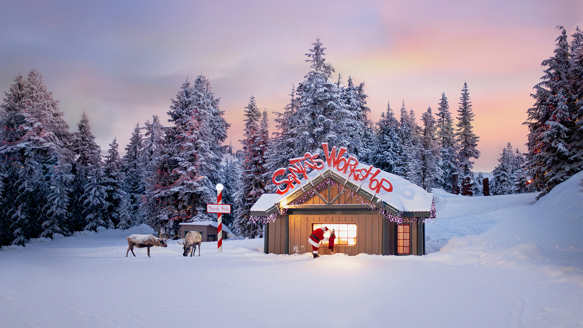 The Peak of Christmas Grouse Mountain The Peak of Vancouver